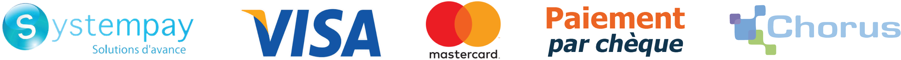 Payments Logo